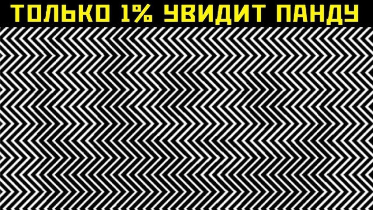 Головоломки на внимательность