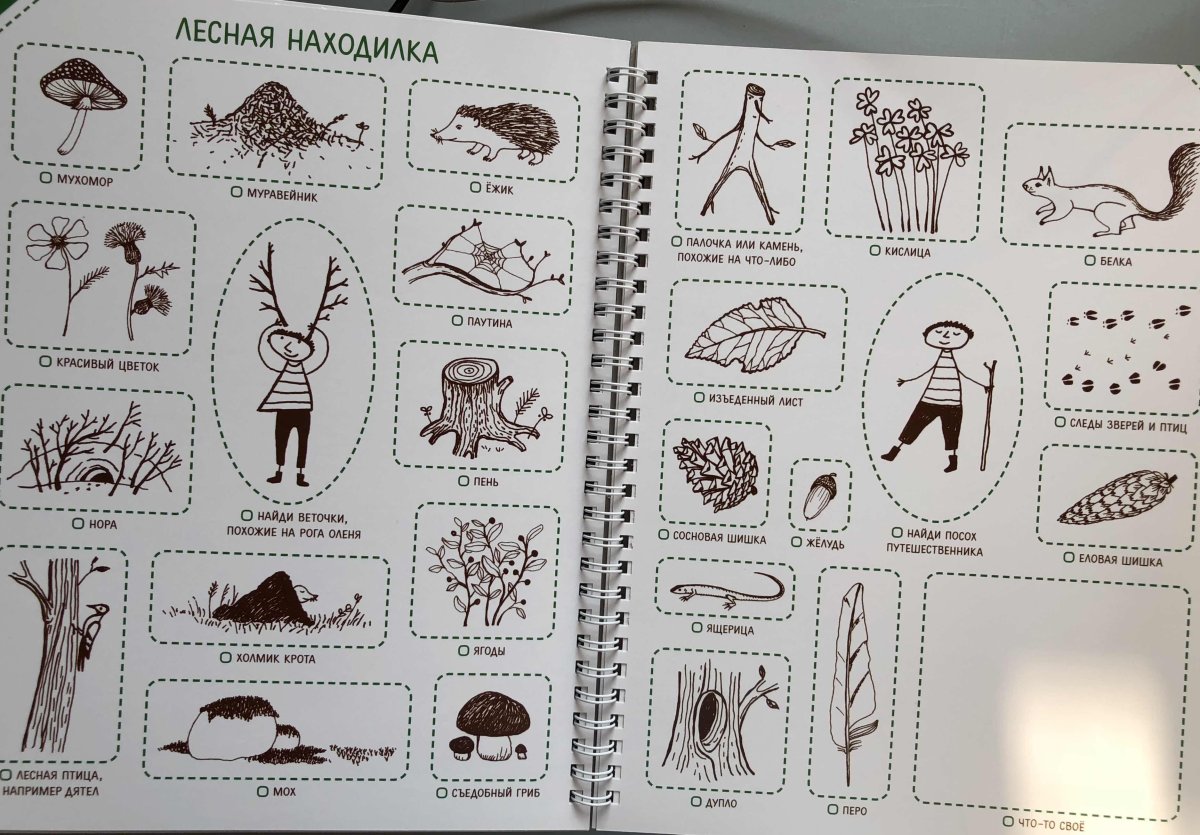 Летняя находилка