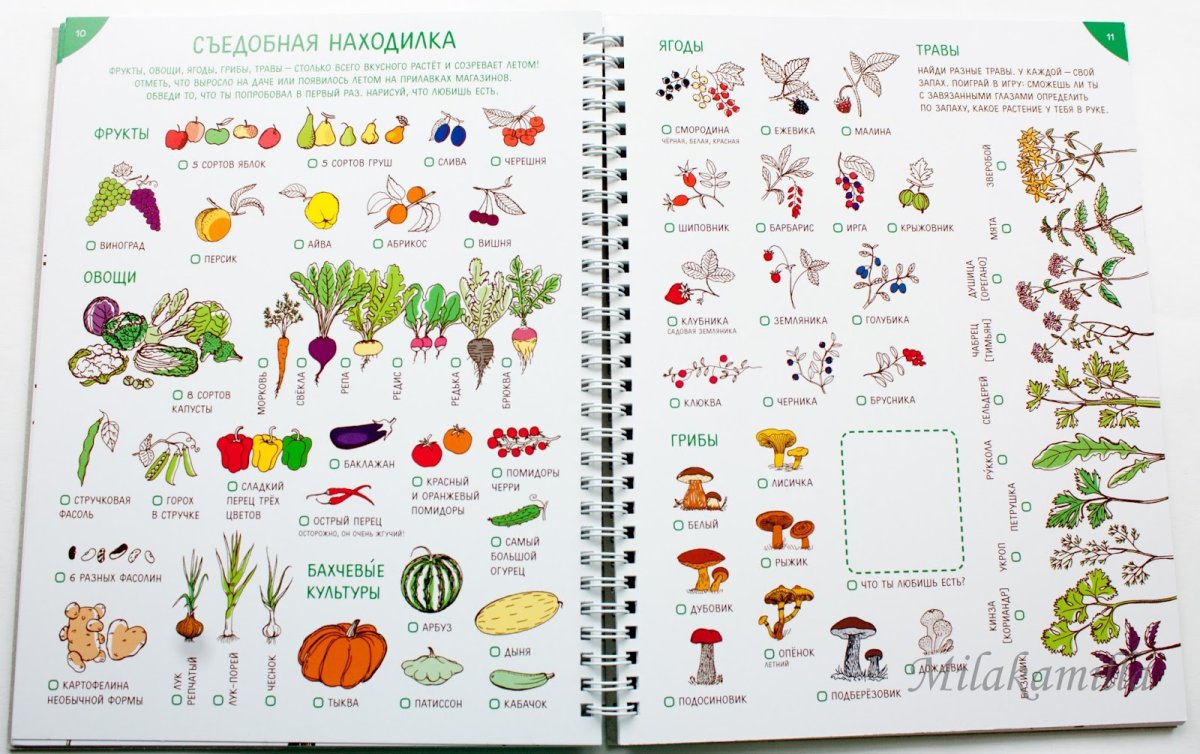 Задания Найди и раскрась