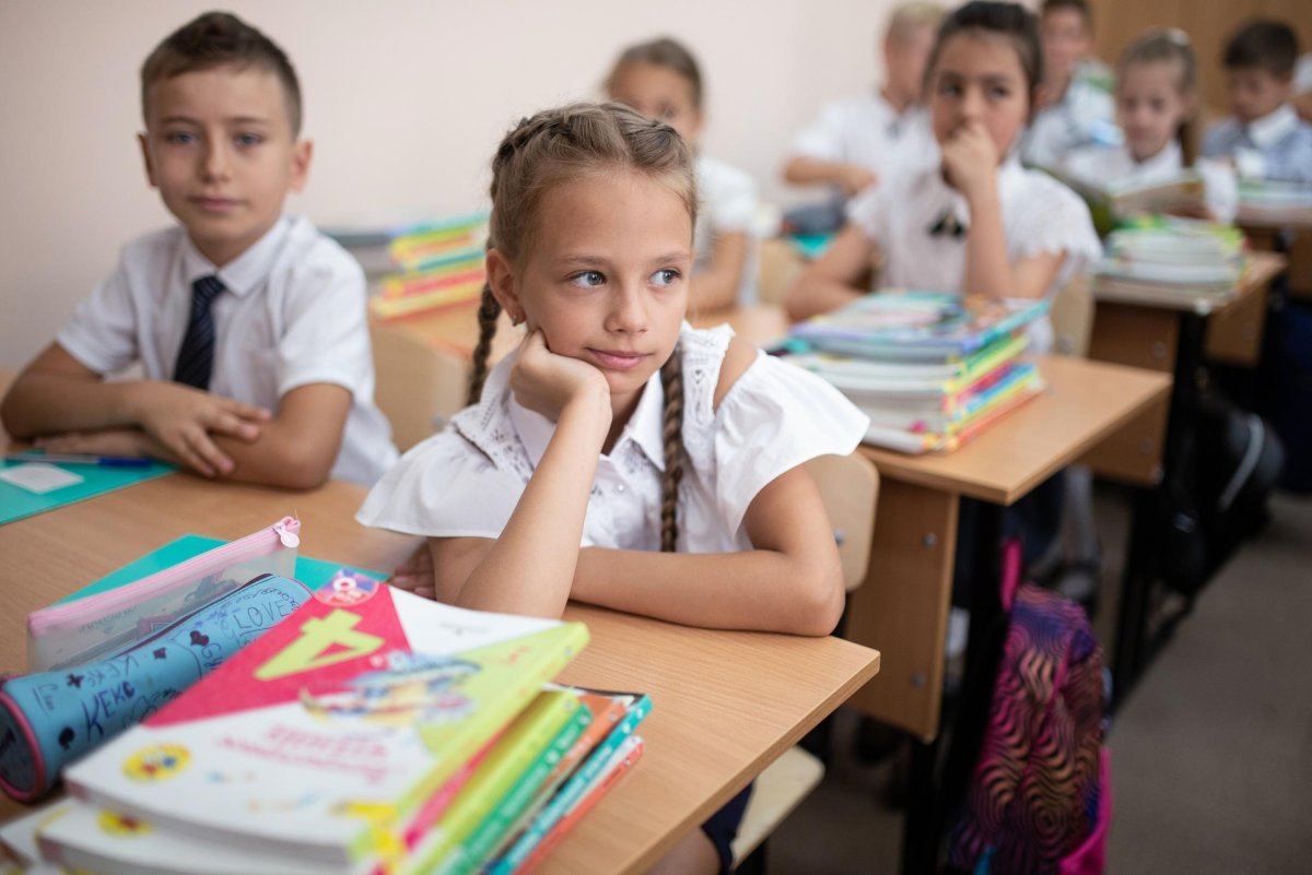 Чему учат в школе