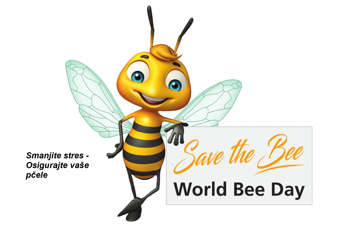 Учитель пчела из Лунтика