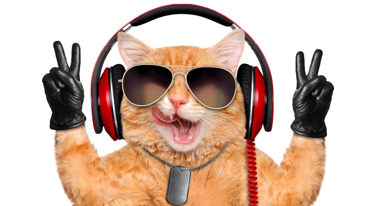 А мне пофек