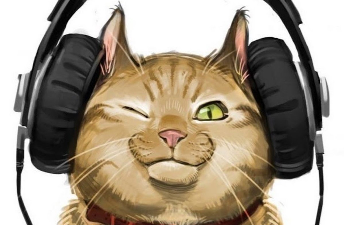 Котик в наушниках