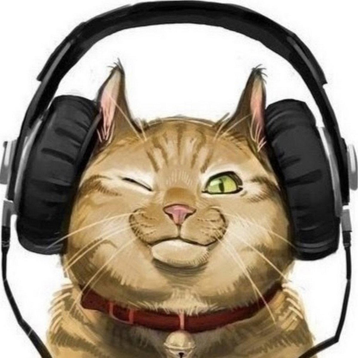 Кошечка в наушниках