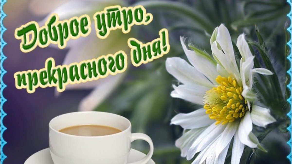 С добрым утром среды