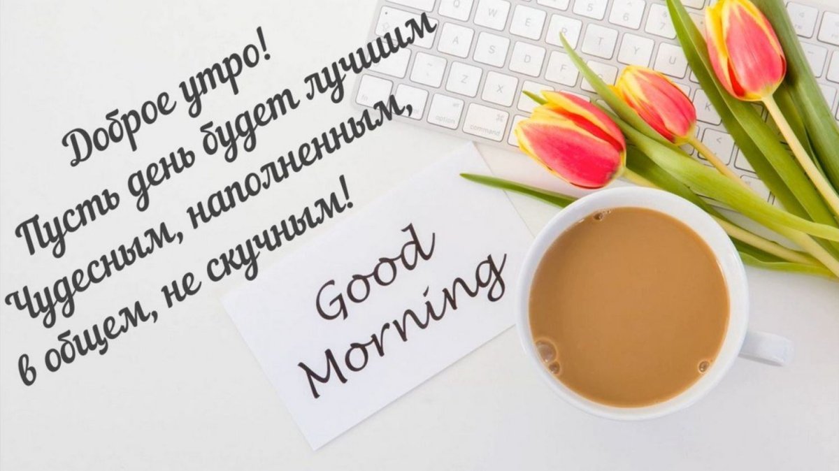 Пожелания доброго утра среды прикольные
