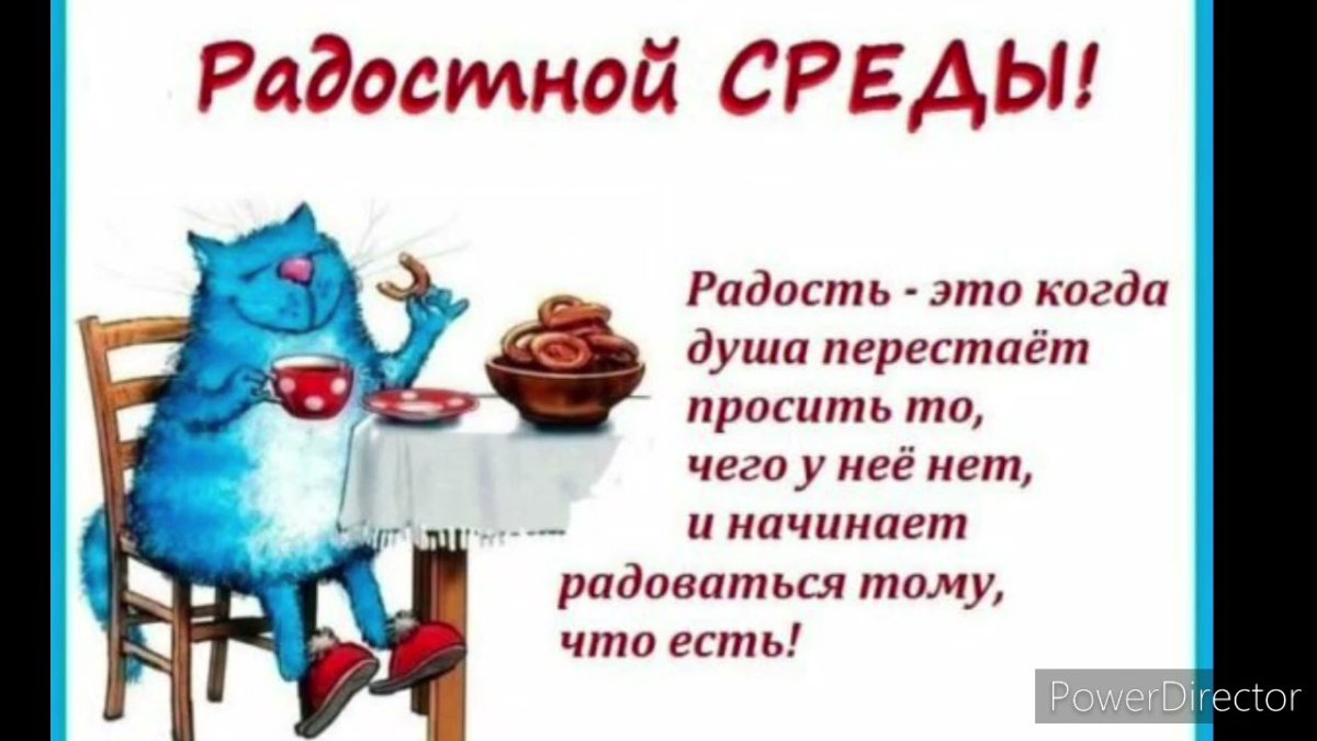 Чудесной солнечной среды