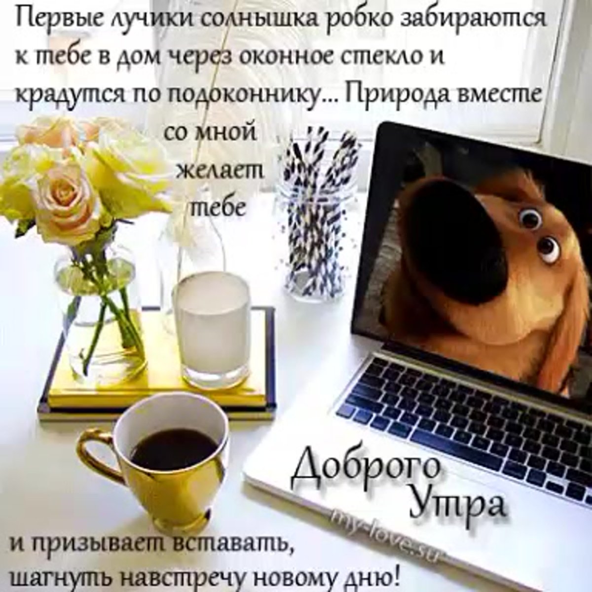 Открытки с добрым утром среды прикольные