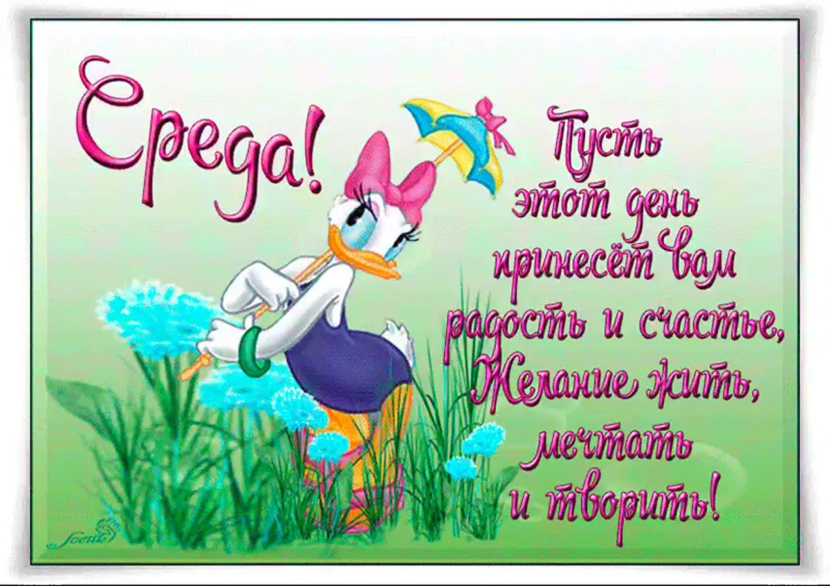 Открытки легкой среды