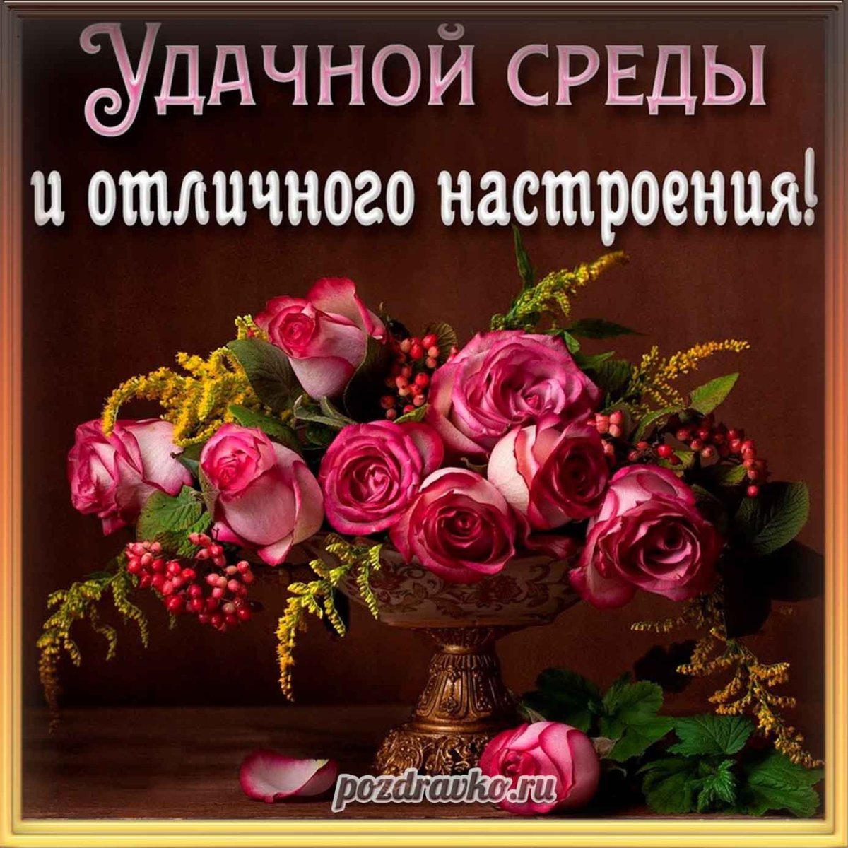 Смешные пожелания хорошего дня