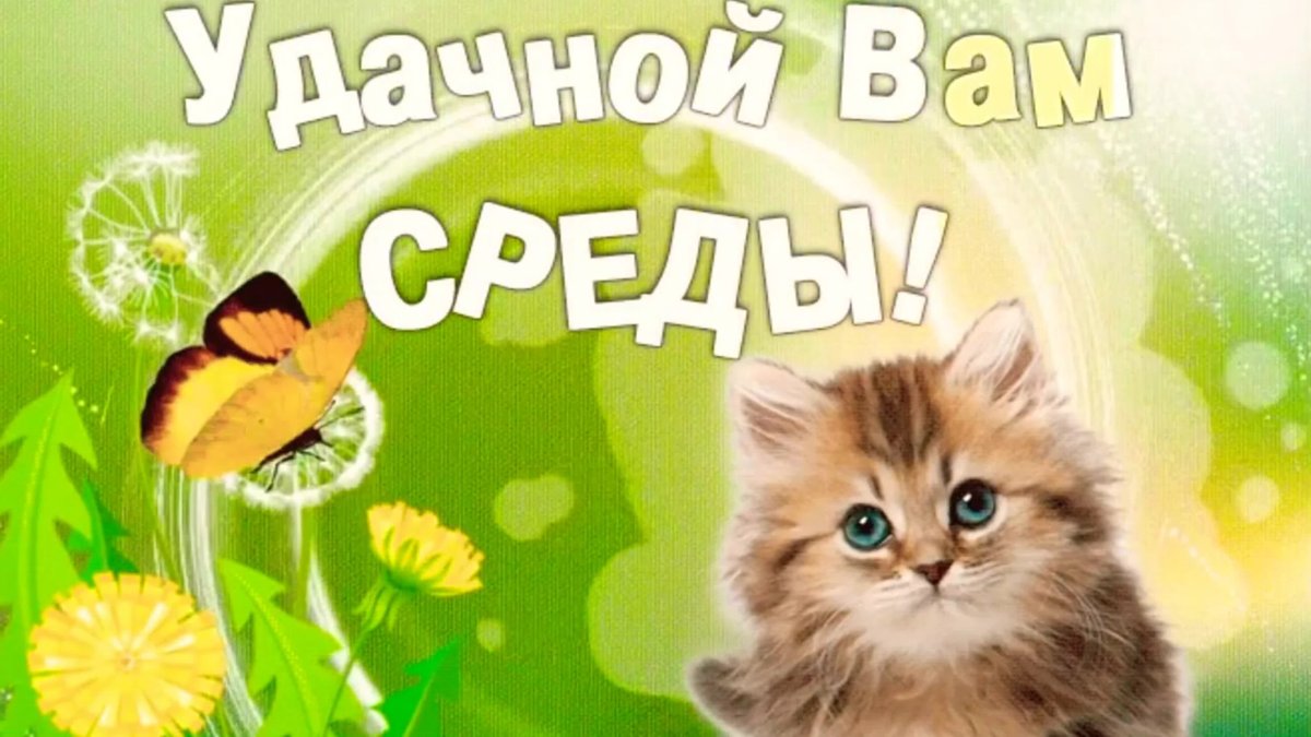 Середина недели доброе утро