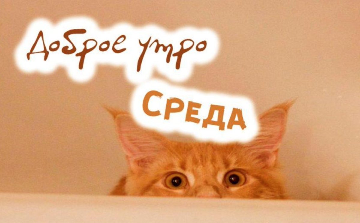 Открытки с добрым утром с природой