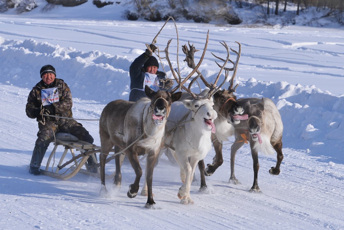 Сильный Мороз