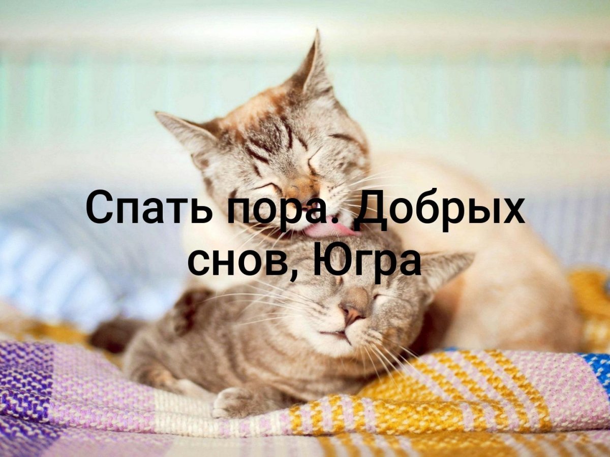 Пора спать картинки
