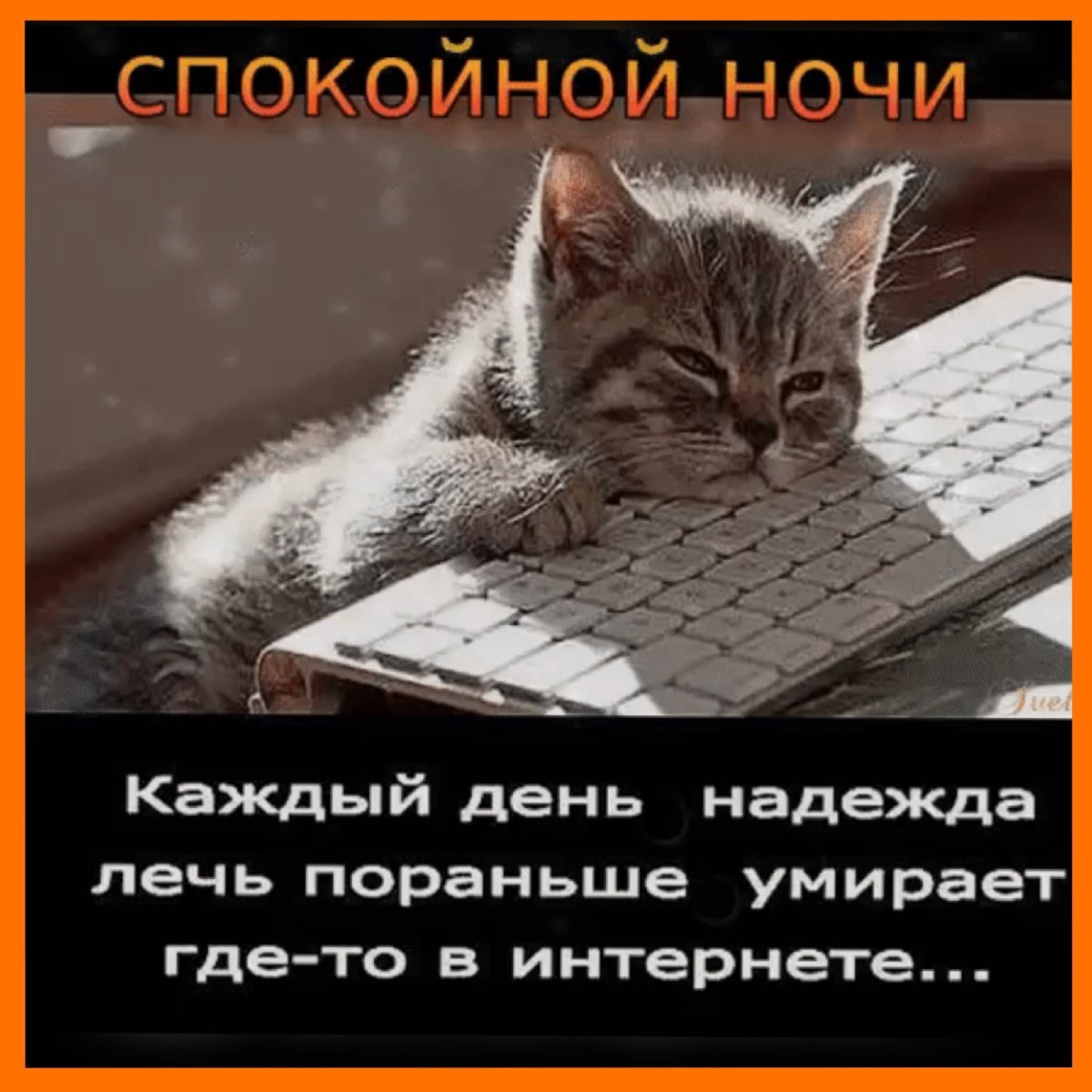 Выключай интернет и ложись спать