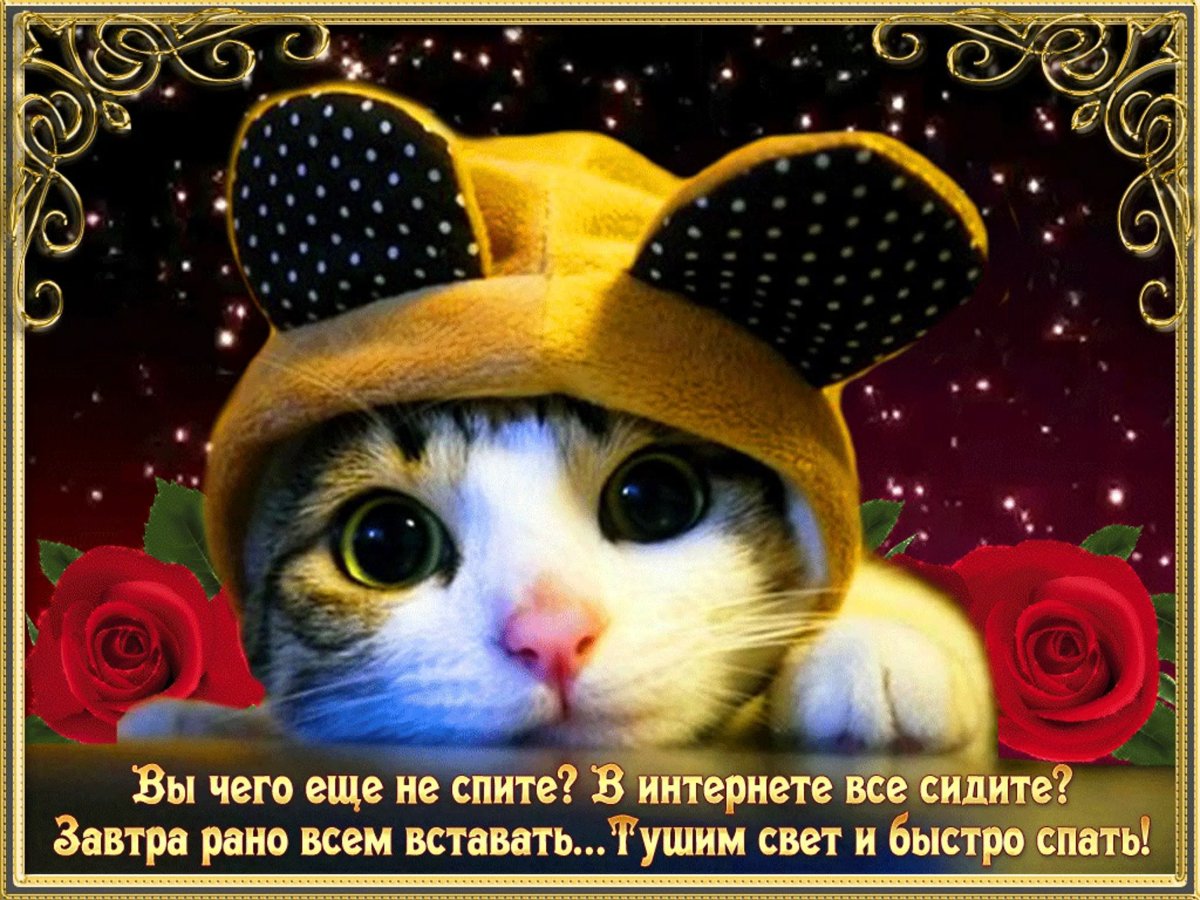 Спокойной ночи до завтра