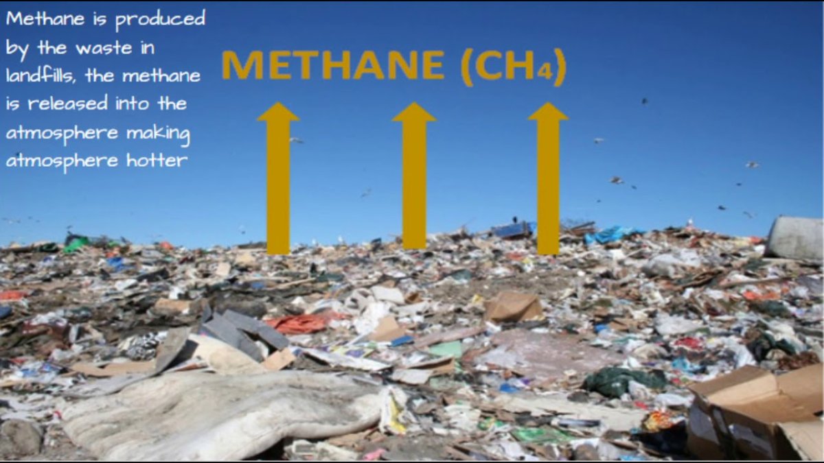 Загрязнение почвы