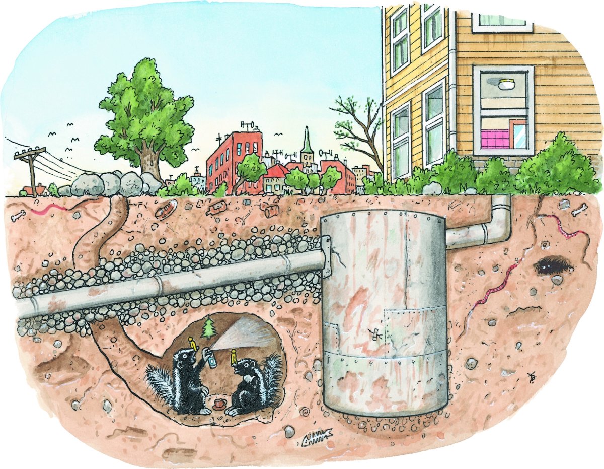 Загрязненная почва и грунтовые воды