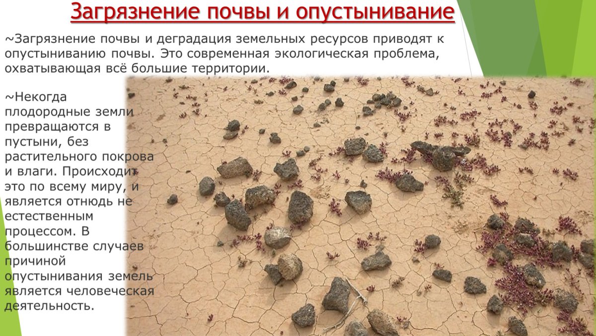 Последствия загрязнения почвы для человека