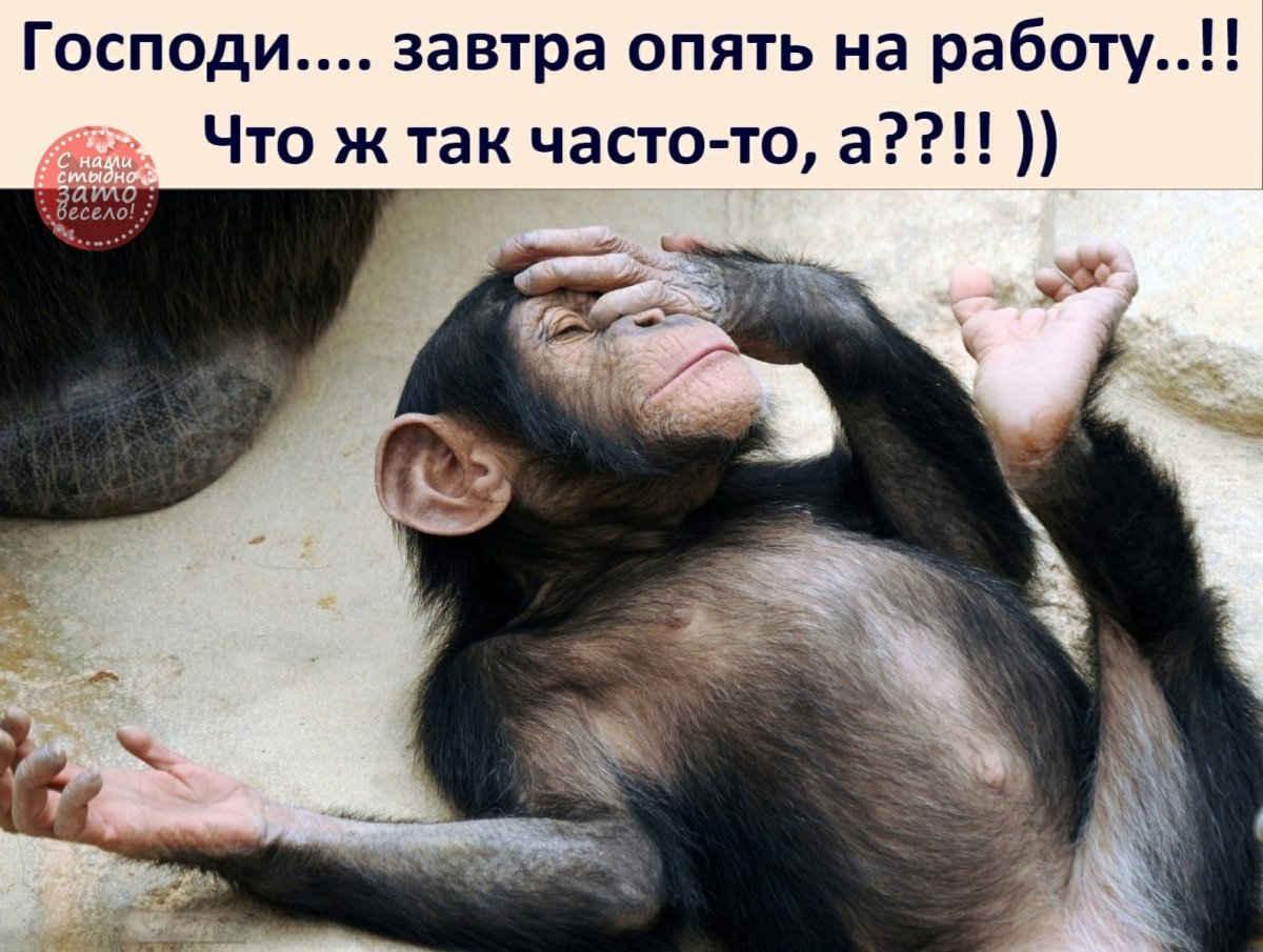 Господи завтра опять понедельник что ж так часто то