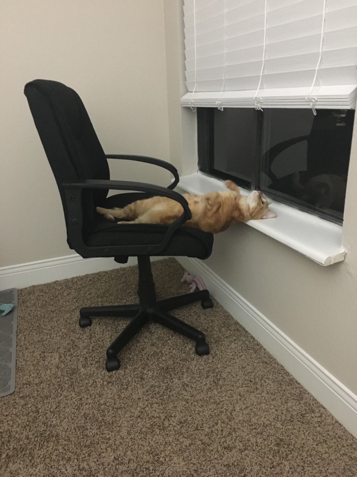 Завтра на работу