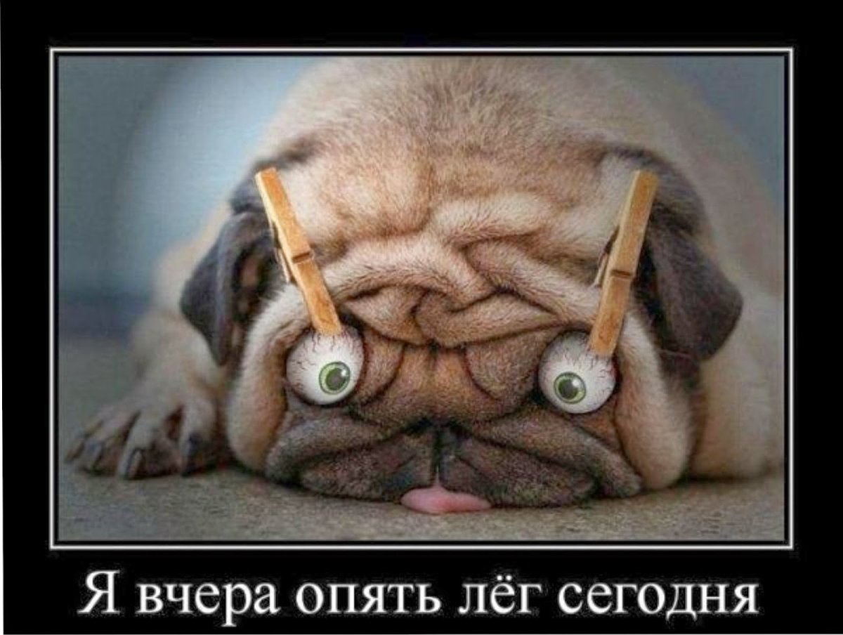 Приколы про позвоночник