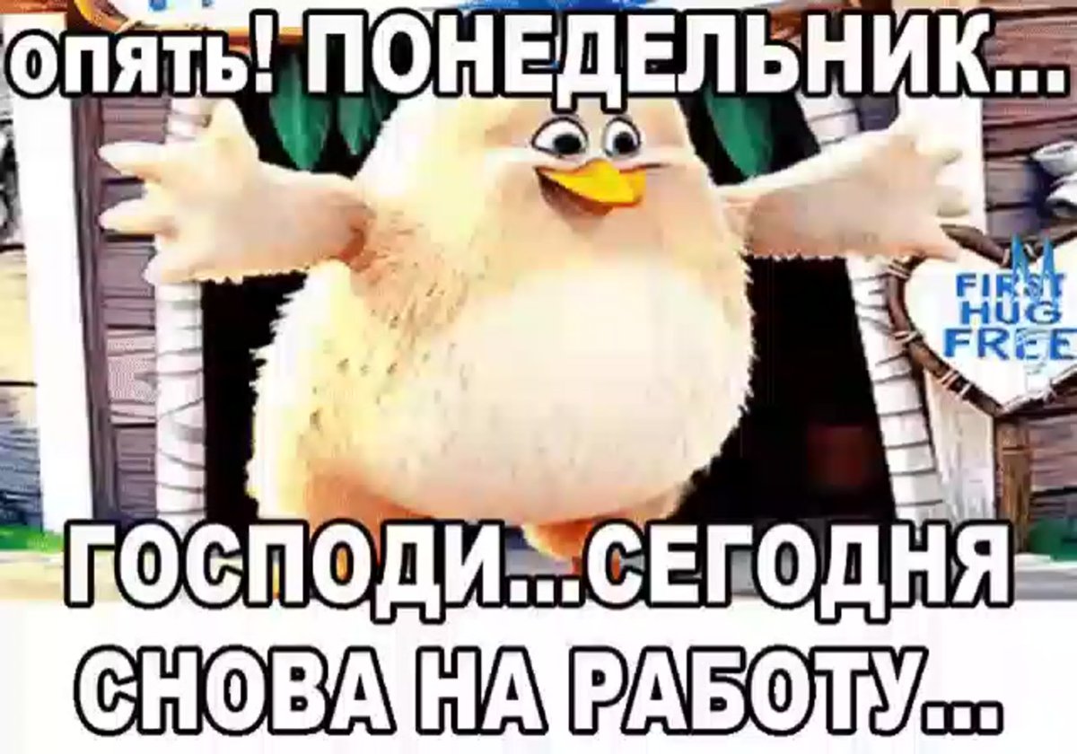 Понедельник юмор