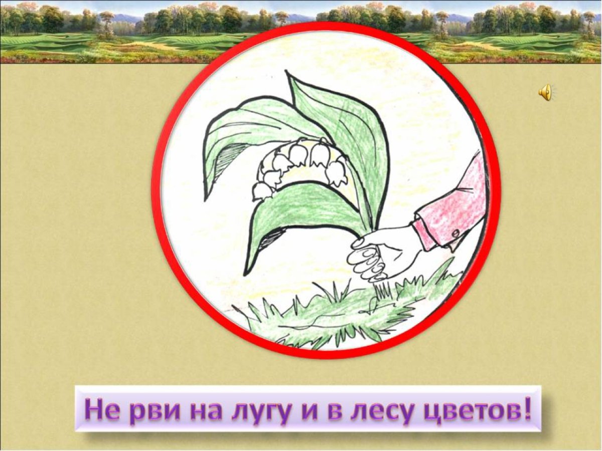 Берегите растения