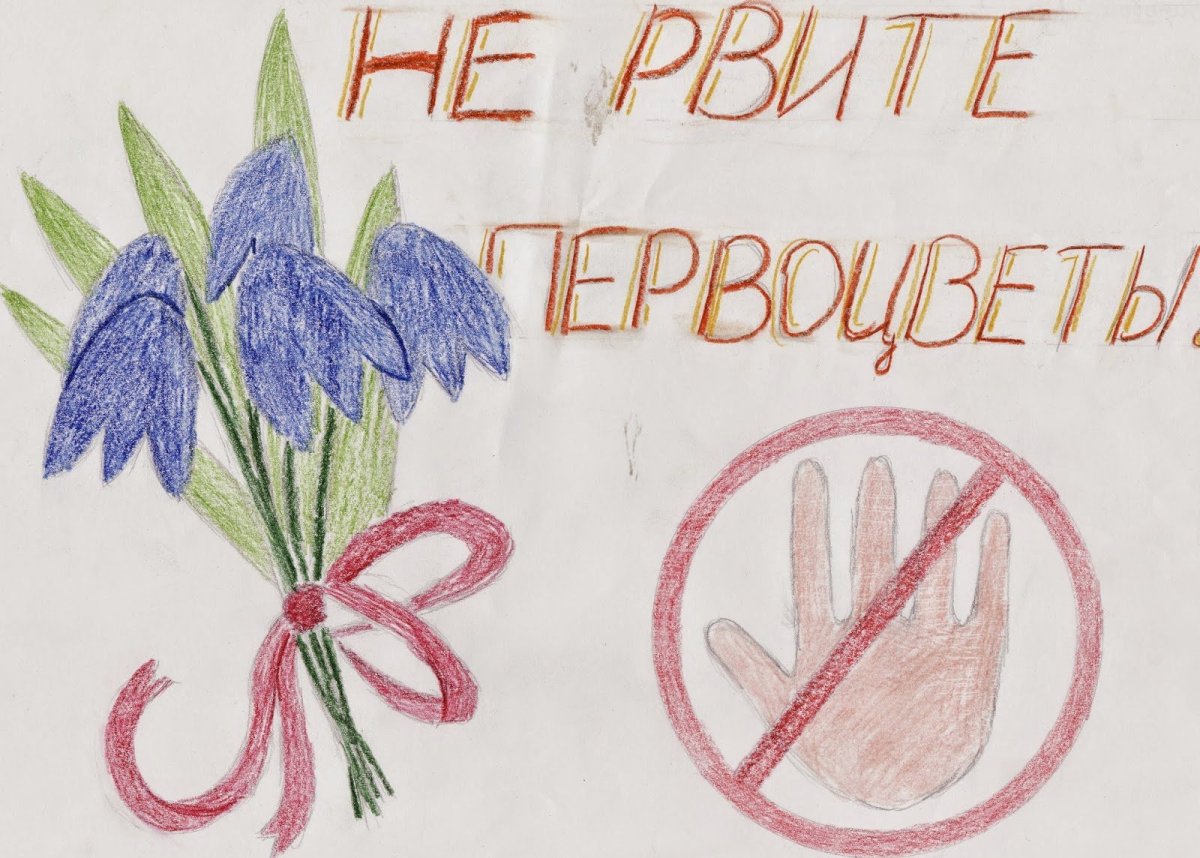 Плакат берегите растения