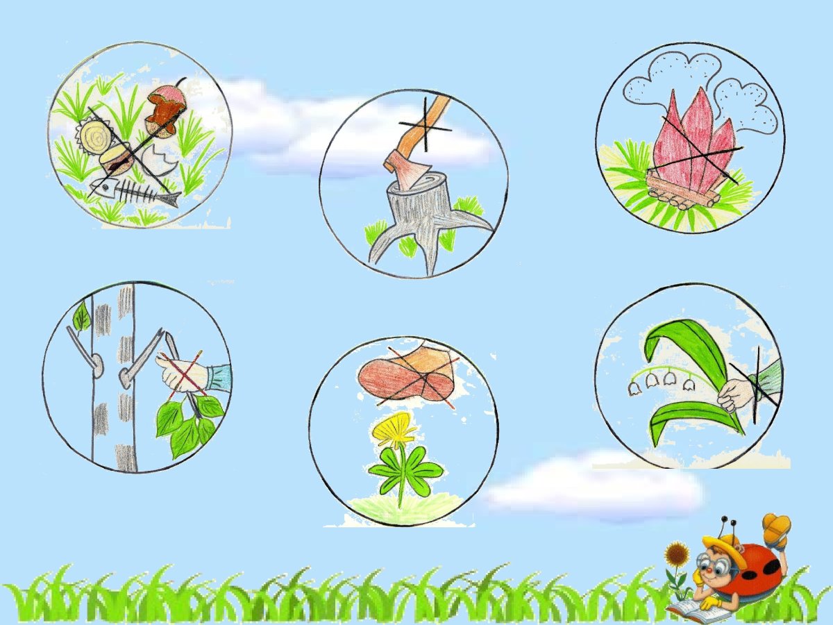 Берегите растения