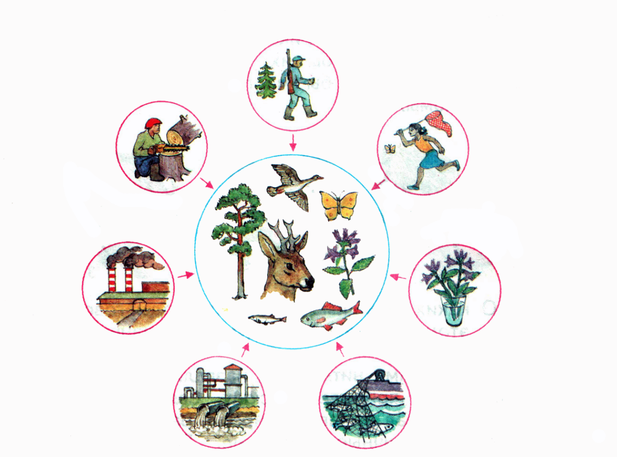 Знак защиты животных в природе