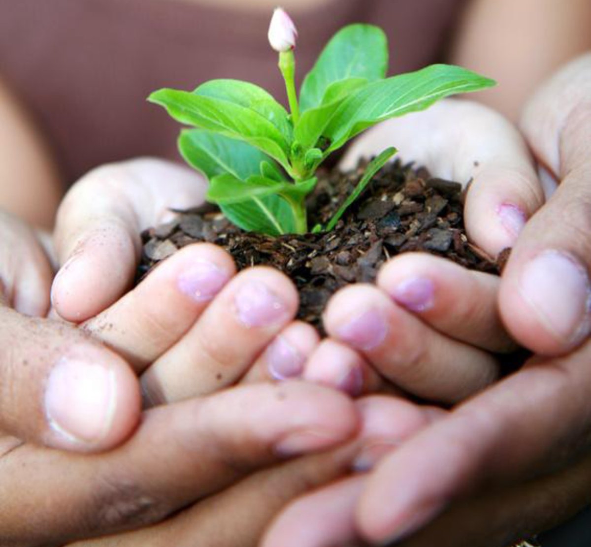 Экология картинки