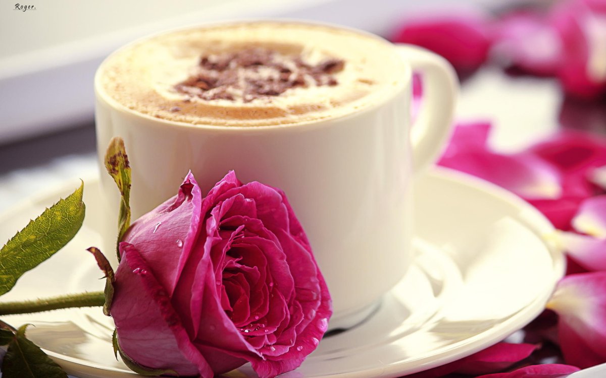 Доброе утро четверга