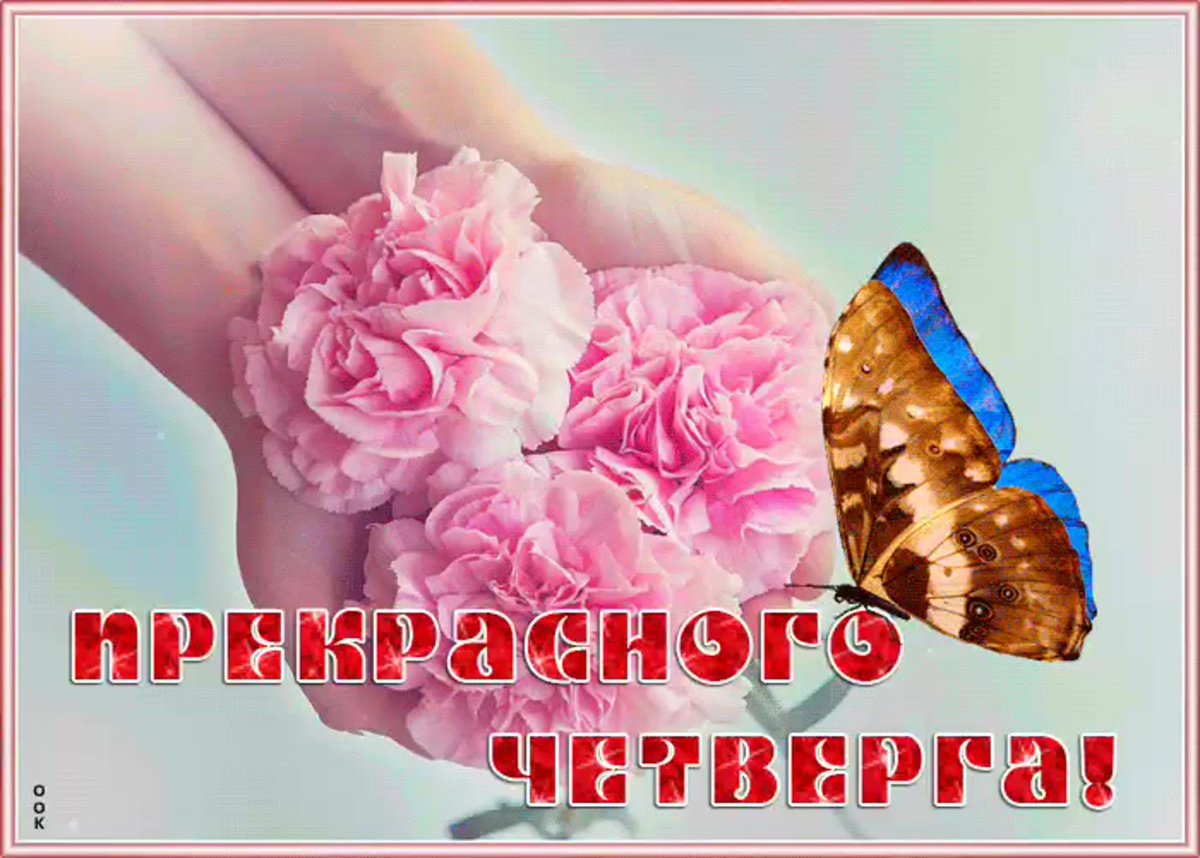 Пожелания на день