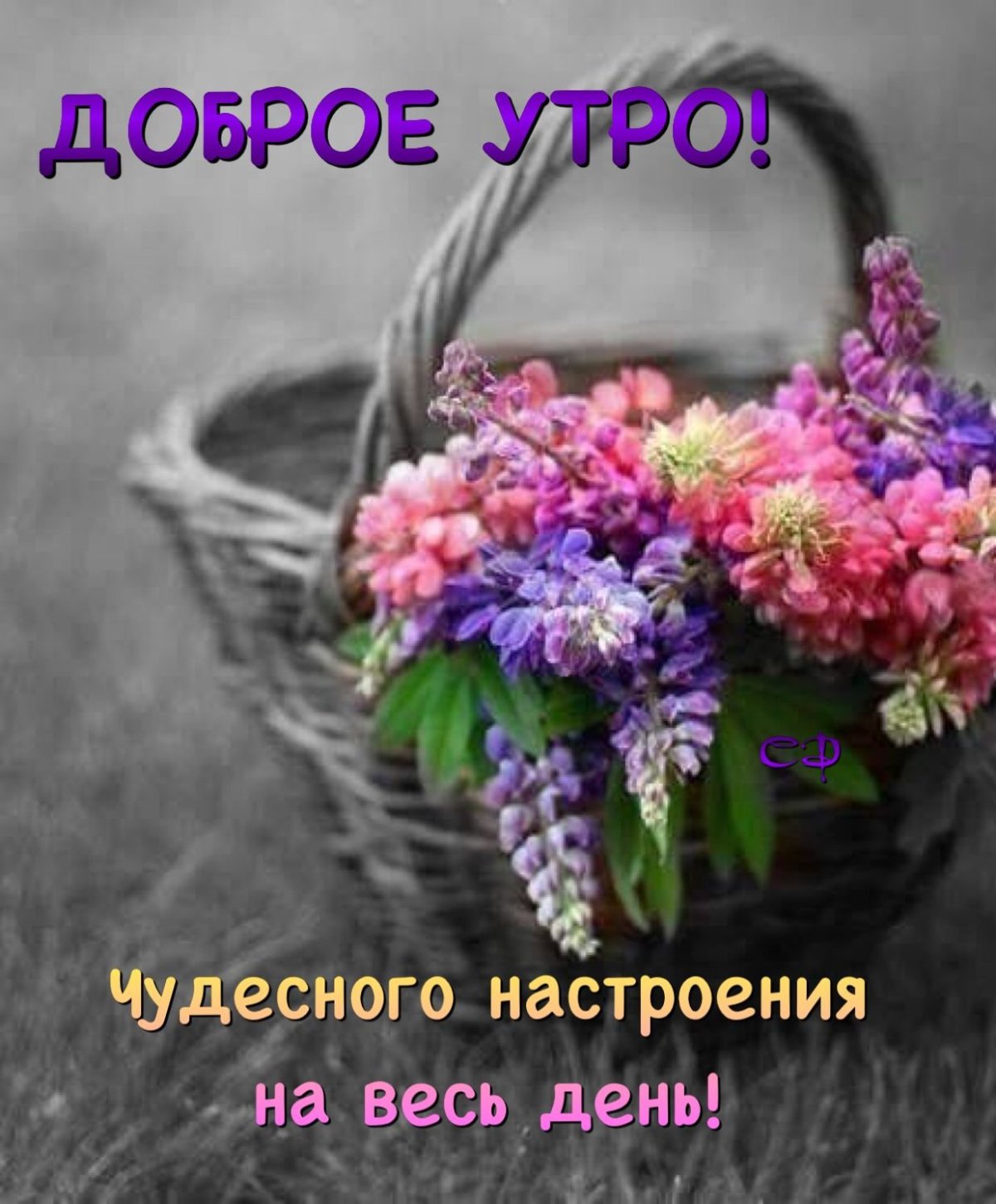 Доброе летнее утро четверга