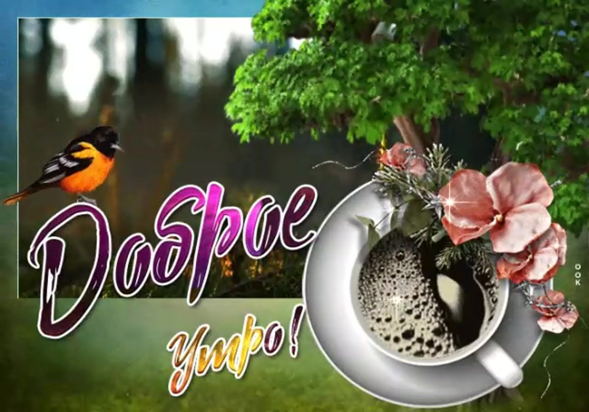 Доброго бодрого утречка и хорошего дня