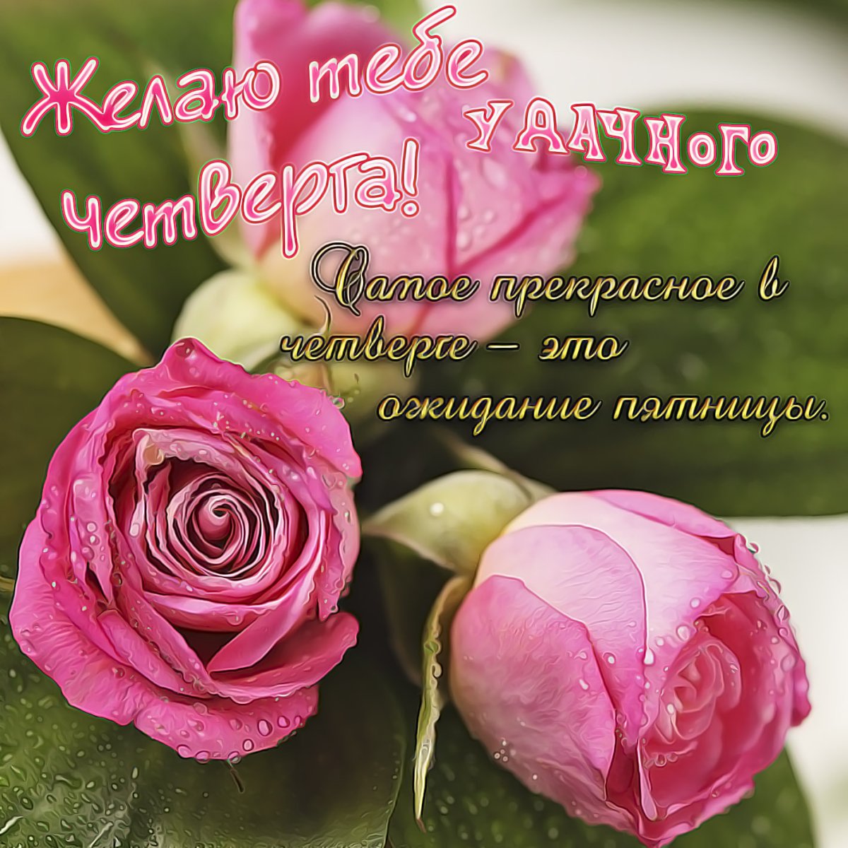 Пожелания с добрым утром девушке