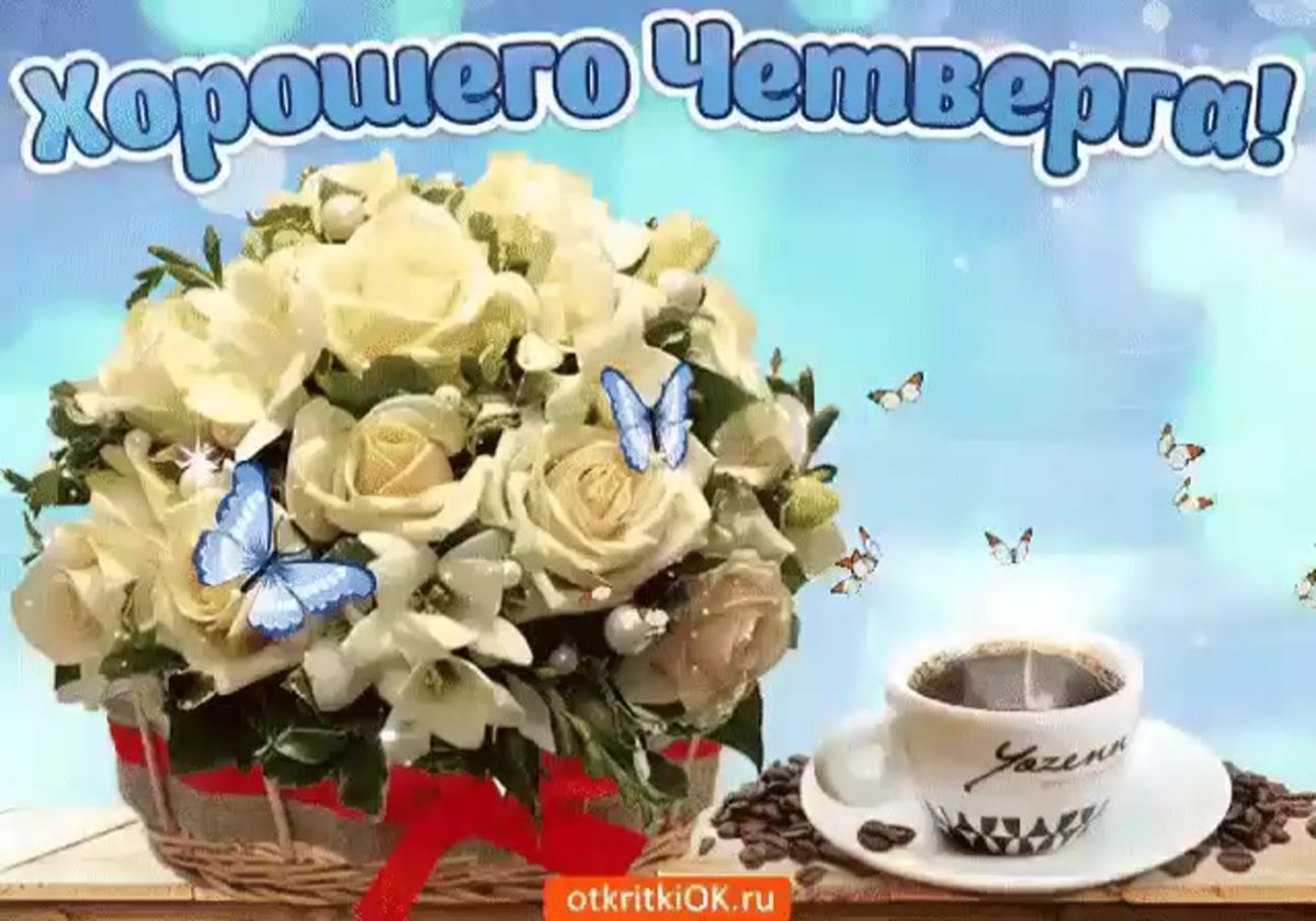 Пожелания хорошего утра , дня, вечера.