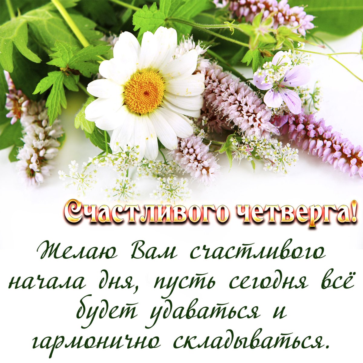 Желаю самого доброго утра и здоровья