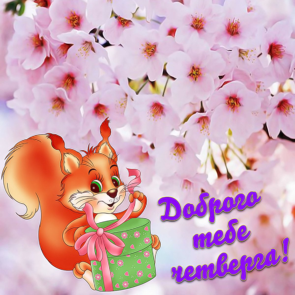 Открытки с пожеланиями хорошего четверга