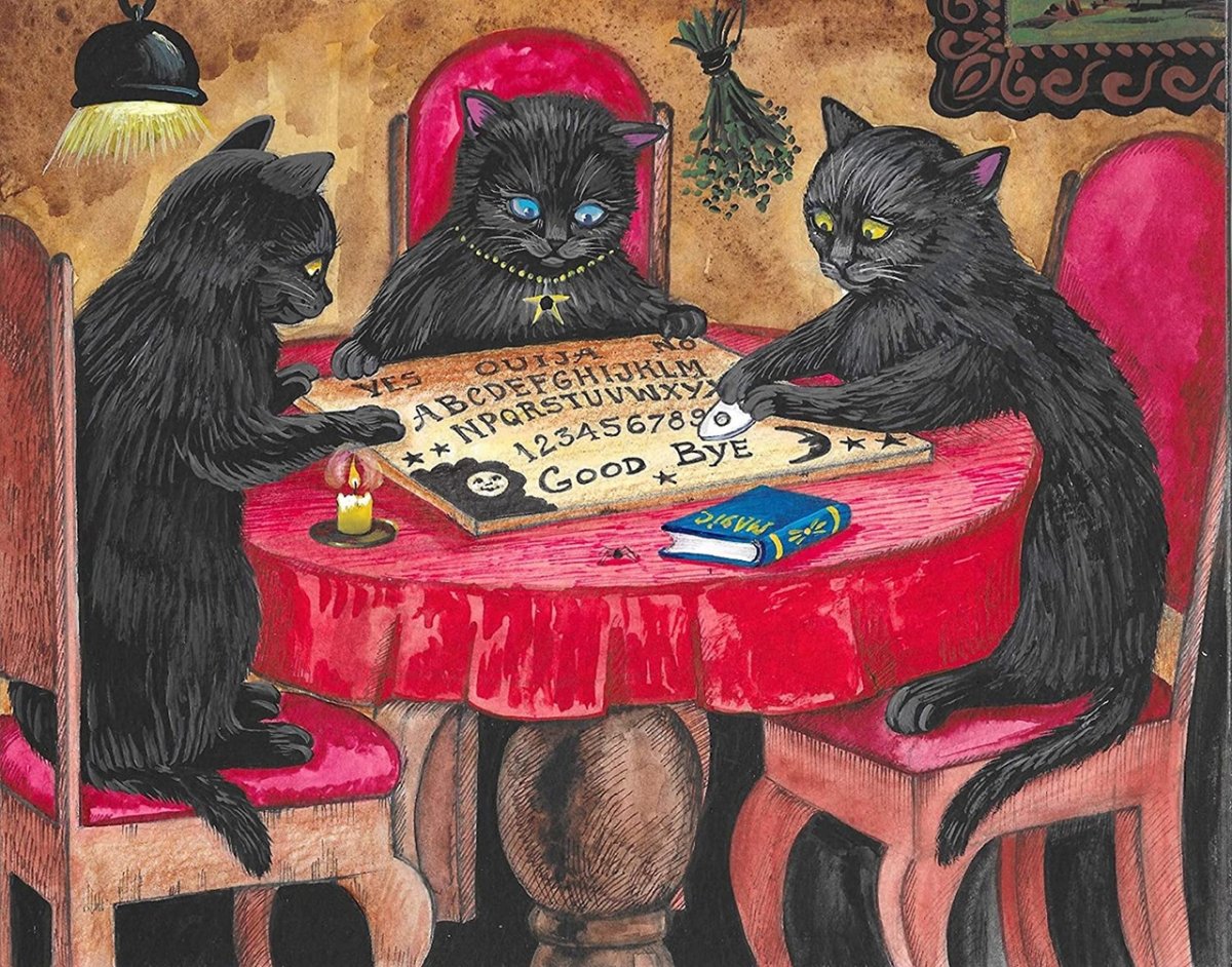 Коту все равно