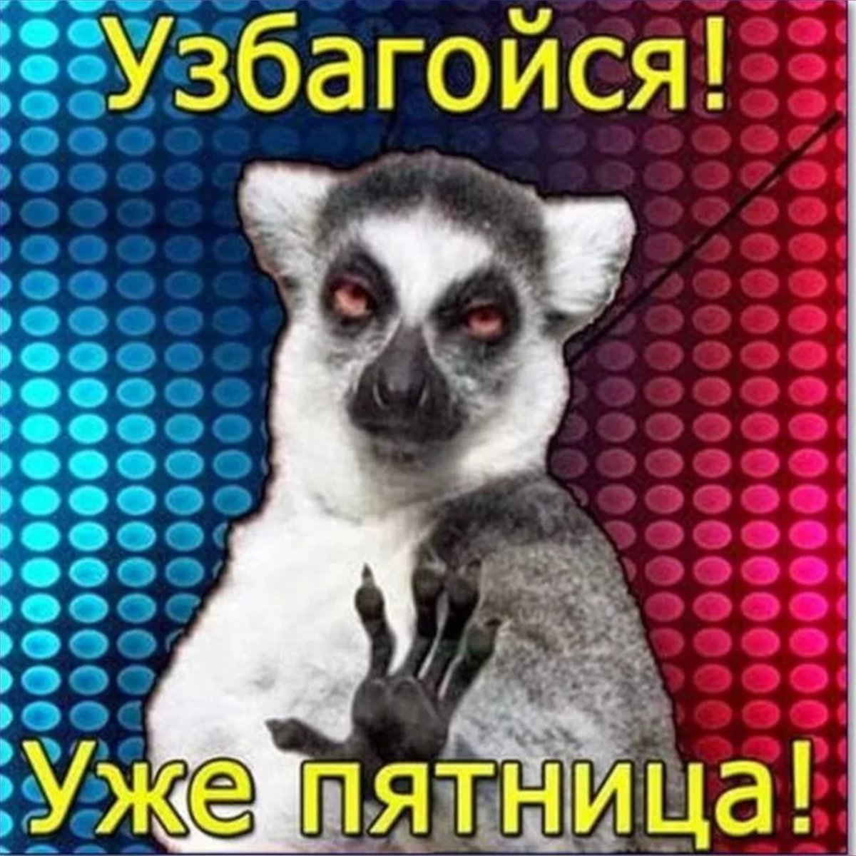 Узбагойся картинки