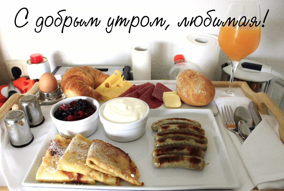 Креативная реклама корма для животных