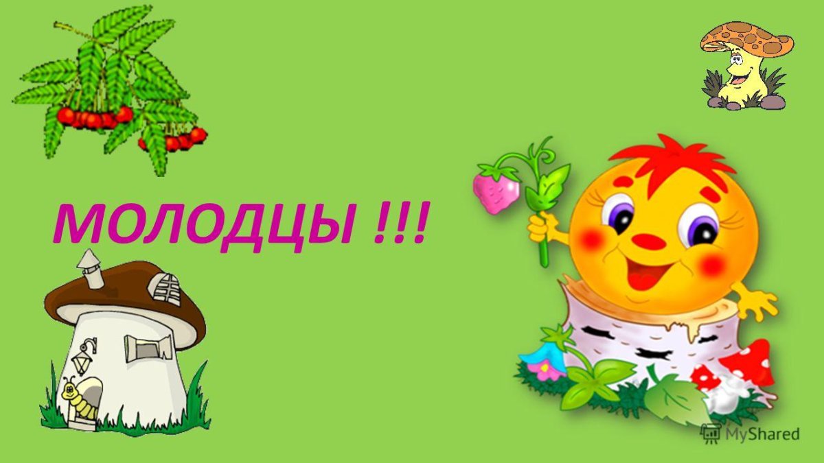 Группа Колобок в детском саду