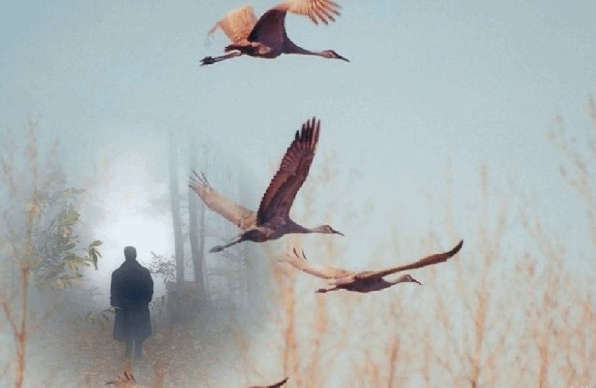 Унесите меня Журавли