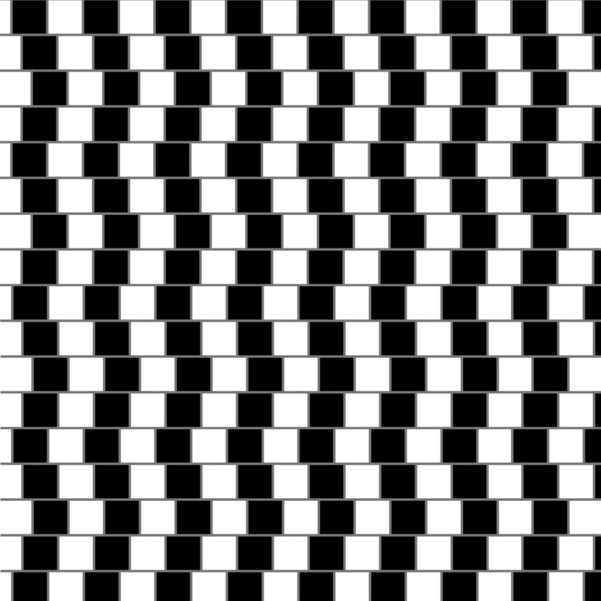 Иллюзия зрительные искажения