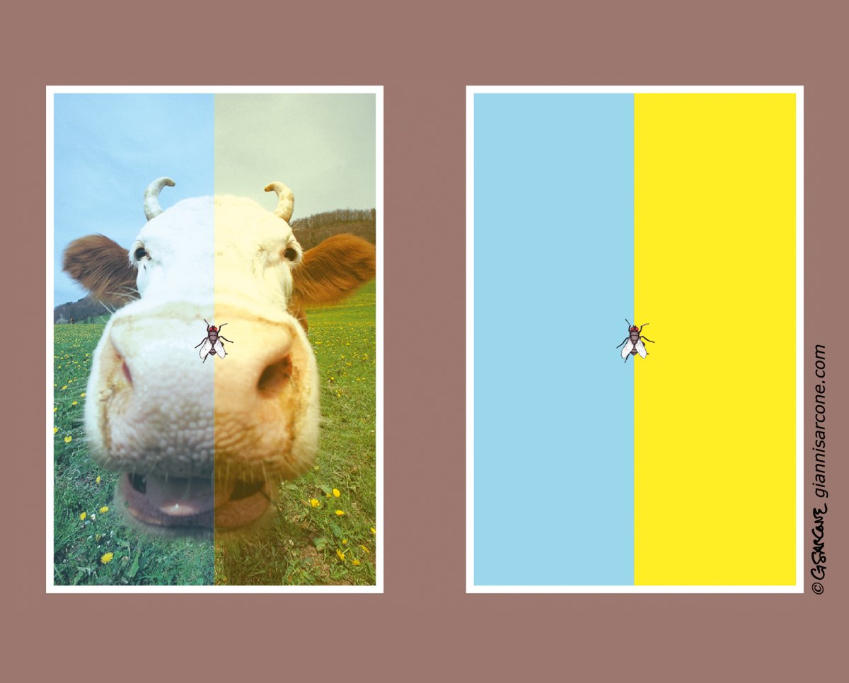 Картинки с обманом цвета