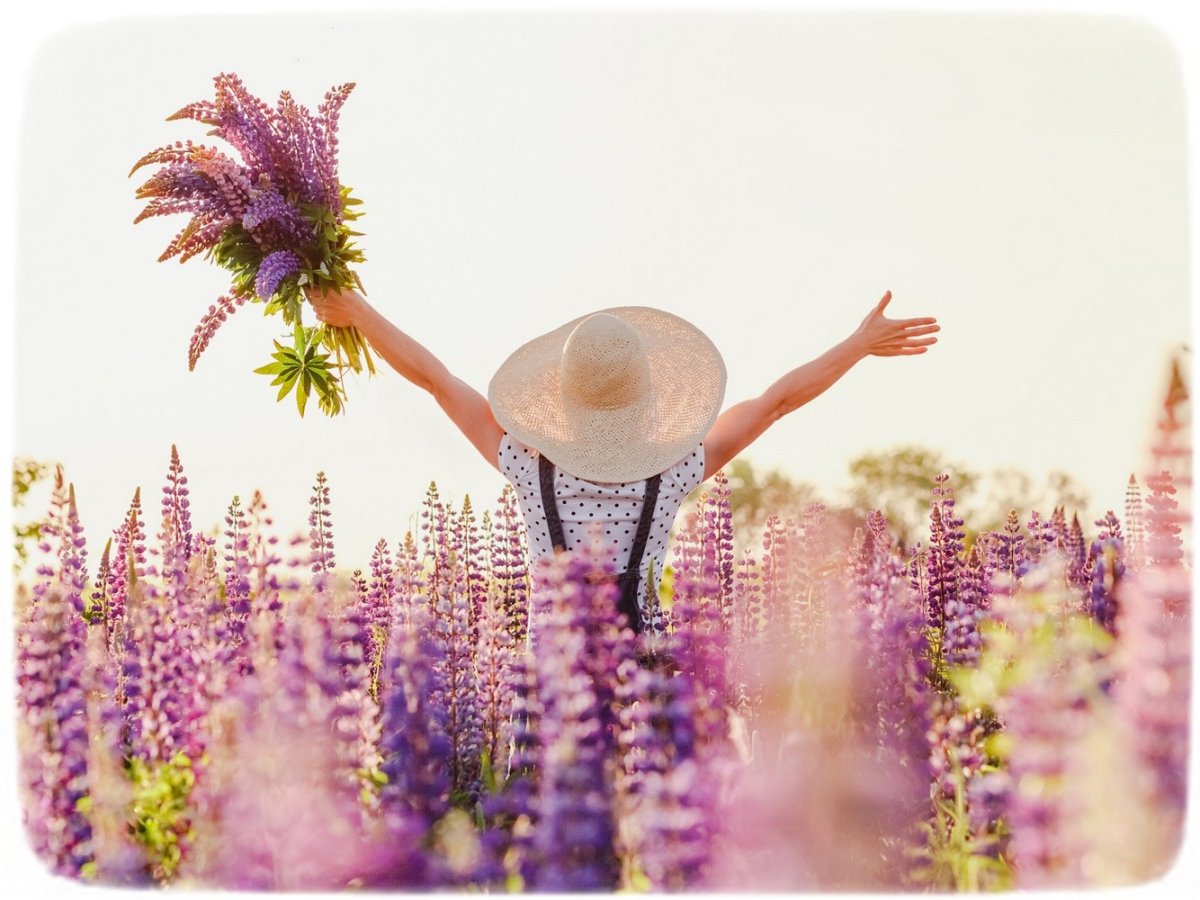 Улыбнись цитаты