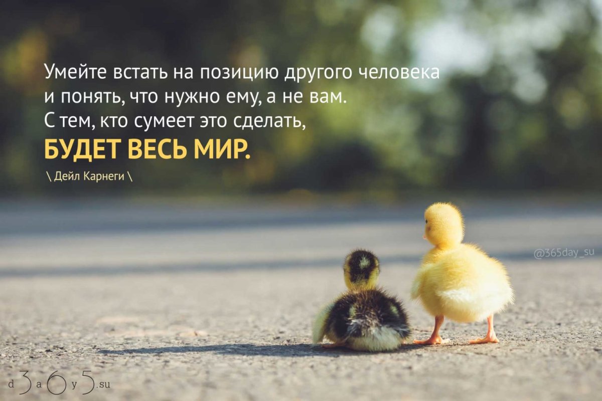 Красивые высказывания в картинках