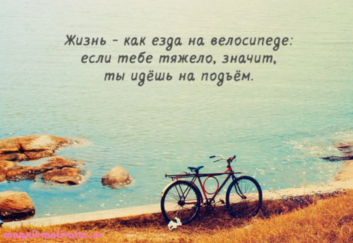 Цитаты про счастье